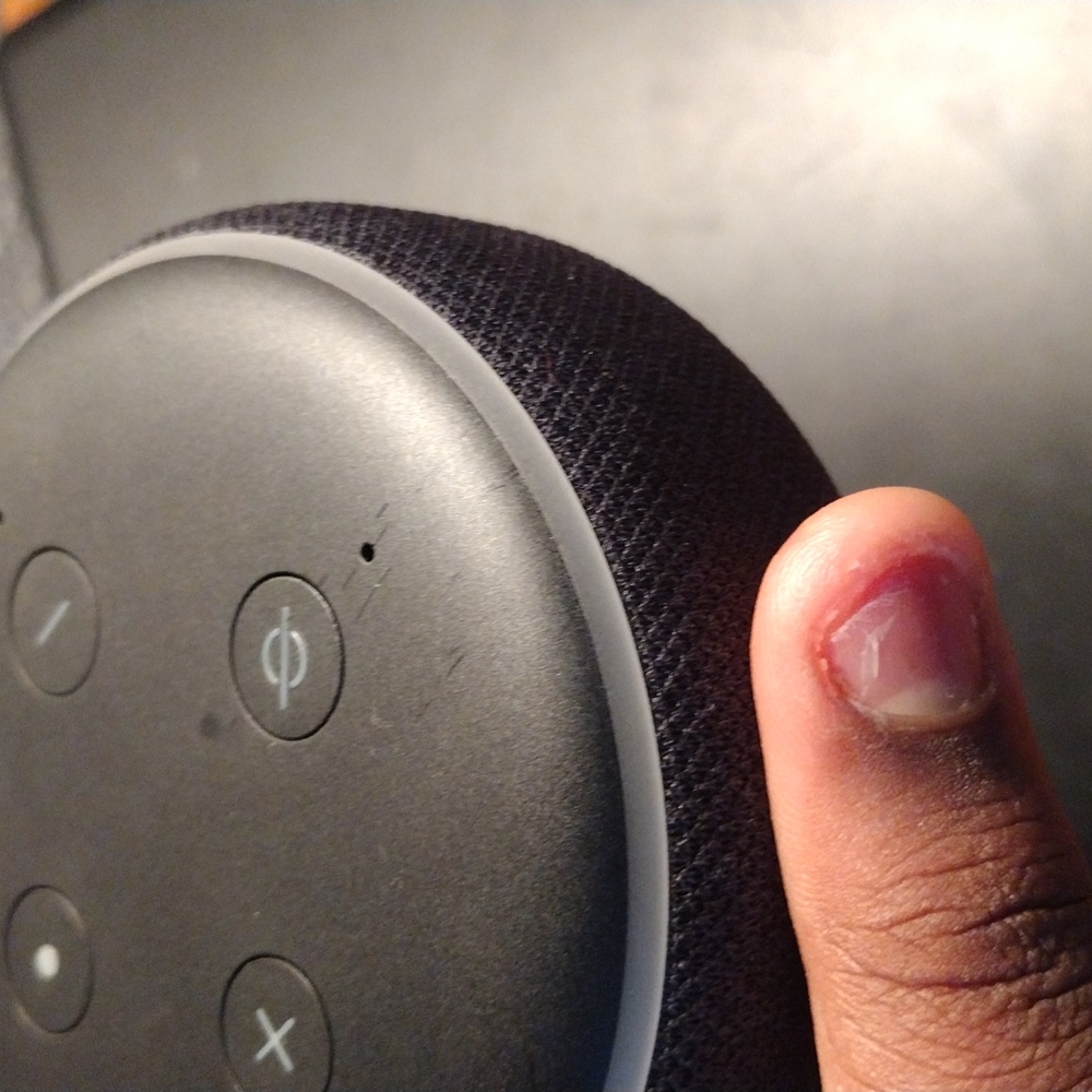 Alexa - Picture 2 of 4